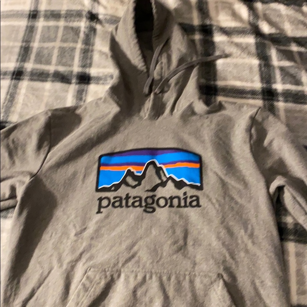 Patagonia hoodie